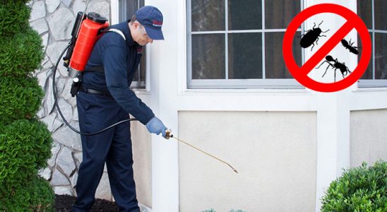 Sandıklı Karınca İlaçlama böcek ilaçlama ve haşere kontrolü — ilaclama-tr.com